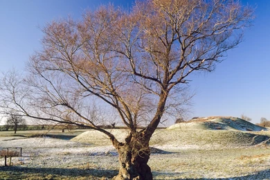 Christmas Wallpapers   Pictures Full Of Atmosphere