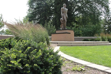 Michigan State University Photos