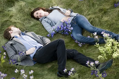 My WallZ...: Top Rated Wallpapers ....