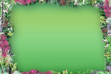 Dark Colors Backgrounds   Twitter & Myspace Backgrounds