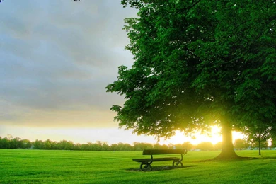 Free Wallpapers Samsung   Wallpapers Zone