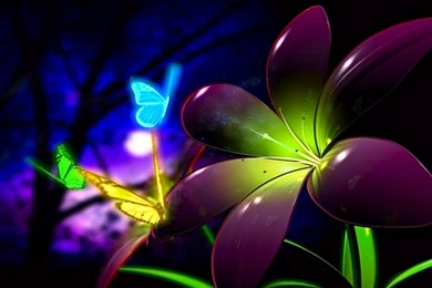 Download 3d Wallpapers