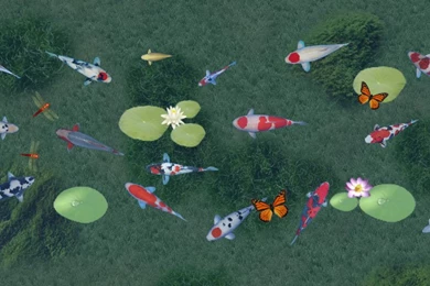 Android News, Tips And Reviews: Android App Review: Koi Live Wallpapers