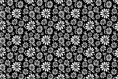Black And White Floral Wallpapers   Wallpapers Zone