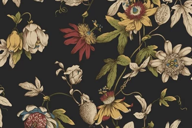 Black Ca7590 Tropical Floral Wallpapers By Seabrook