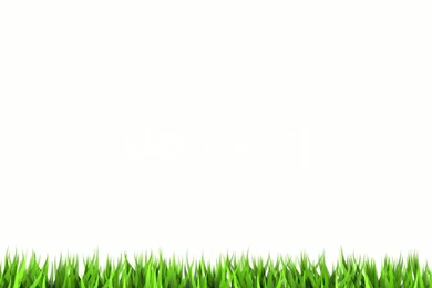 White Desktop Backgrounds   Wallpapers Cave