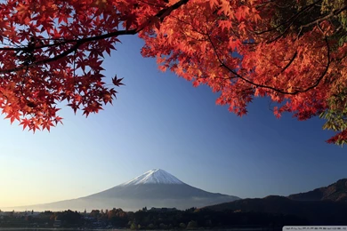 Autumn, Mount Fuji, Japan HD Desktop Wallpapers : High Definition ...