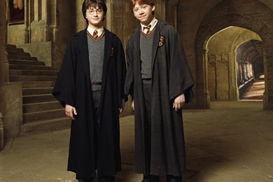 Harry Potter And The Chamber Of Secrets (2002)   Books Male ...