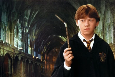 Harry Potter And The Chamber Of Secrets (2002)   Books Male ...