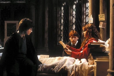 Harry Potter And The Chamber Of Secrets (2002) Books Male ...