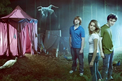 Harry Potter And The Goblet Of Fire Wallpapers HD With HD ...