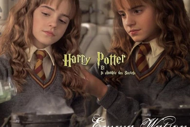 Wallpapers Movies > Wallpapers Harry Potter And The Chamber Of ...