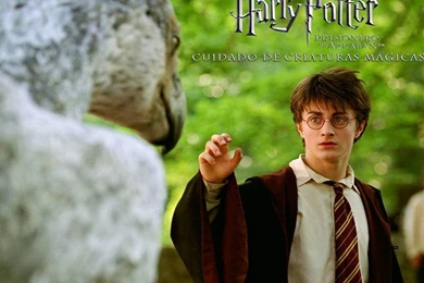 Harry Potter And The Prisoner Of Azkaban   Harry James Potter ...