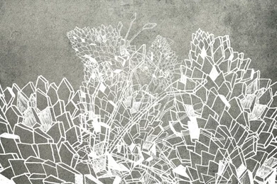 Paper Wallpapers / Contemporary / Patterned   DRAWING By Wladimiro ...