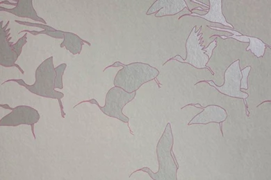 Bird Wallpapers From Rockett St George Contemporary Wallpapers ...