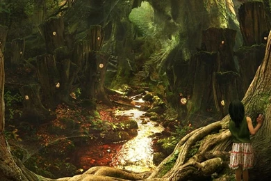 HD Wallpapers Mysterious Forest Wallpapers