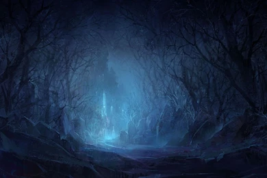 Wallpapers Dalmaiton Dogs Mysterious Dark And Blue Forest Natural ...