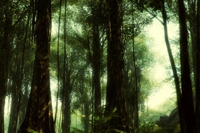 Cierha: January 2010