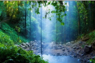 3D Custom Pvc Desktop Decoration Beauty Wallpapers 3 D Panel ...