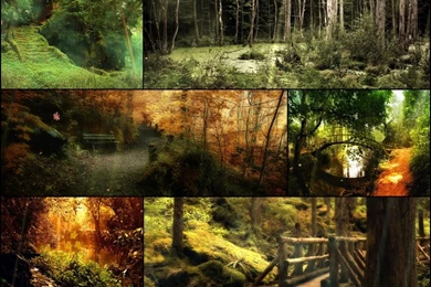 Download The Mysterious Forest Screensaver Animated Wallpapers ...