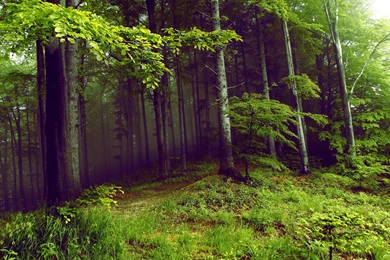 Mysterious Hd Wallpapers