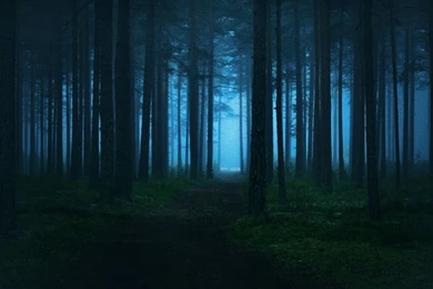 Mysterious Forest By Iridescent happinesS On DeviantArt