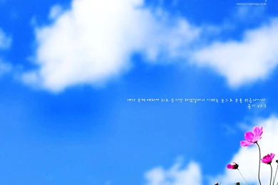 Christian wallpaper Bible verses 04wallp96