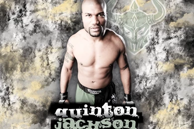 44 Mma HD Wallpapers