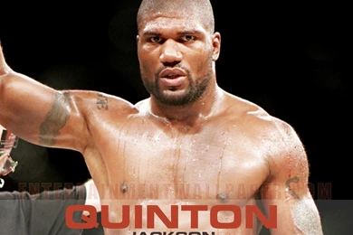 Quinton Jackson Wallpapers