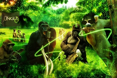 Jungle Animals Music 3d Art Gorilla Monkey Meerkat Wallpapers ...