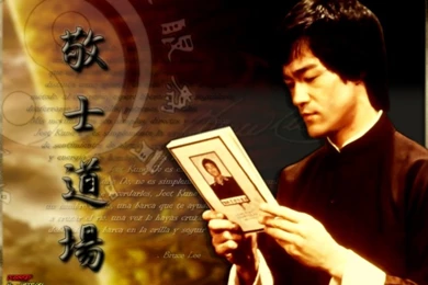 Amazing Bruce Lee Guro Ted Lucay Wallpapers