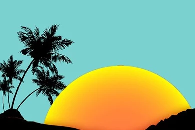 Pink Dolphin Wallpapers