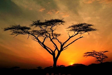 Wallpapers   Inspiration & Creativity Wallpapers (22380489)   Fanpop