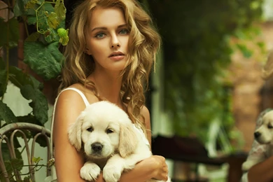 Image   Beautiful blonde wallpaper face Girl Puppy Tenderness.jpg ...