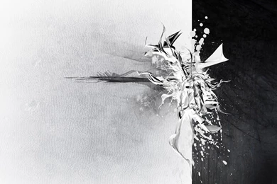 White And Black Wallpapers