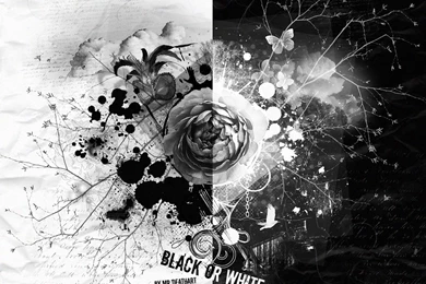 White And Black Wallpapers Collection (29+)