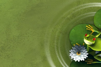 Cute Frog   Typta.com