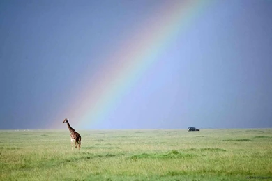 Nature Rainbow Images