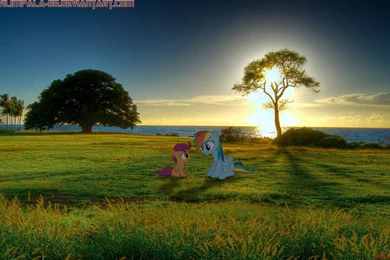 Nature Rainbow Wallpapers Wonderful F56   WALLPAPERS HD 2016