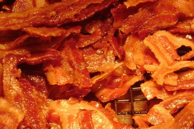 Bacon