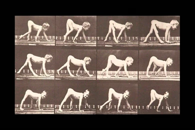 Wallpapers Francis Bacon Images