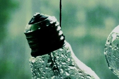 Drops On Bulbs iPhone 5s Wallpapers Download