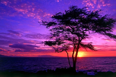 Purple Sunset Wallpapers   HD Images New