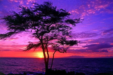 Purple Sunset Wallpapers (13343) Wallpaperesque