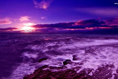 Purple Sea Wallpapers