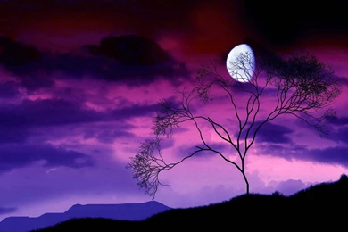 Purple Sunset Wallpapers   (