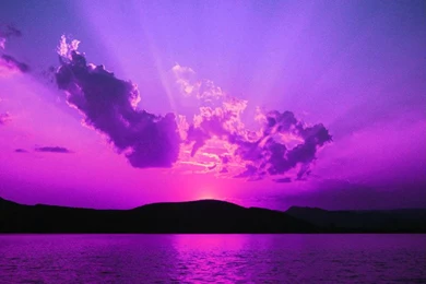 Purple, Purple, And More Purple On Pinterest