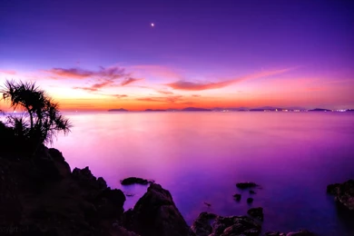 Purple Sunset Wallpapers