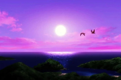 Purple Sunset Wallpapers