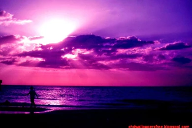 Purple Sunset On The Beach 8000 Hd Wallpapers